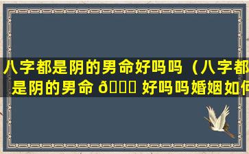 八字都是阴的男命好吗吗（八字都是阴的男命 🐘 好吗吗婚姻如何）